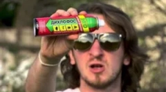 Kako prinesti domov bolhe v apartmaju