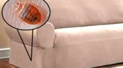 Kako prinesti žuželke iz kavča