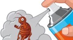 Kako prinesti zemeljske bolhe od doma?