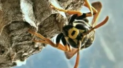 Kako zima in kaj jedo?