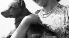 Kakšna pasma psa v angleški kraljici