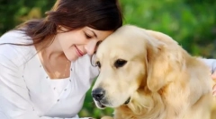 Kakšne pasme psov bodo prilegale različne znake zodiaka