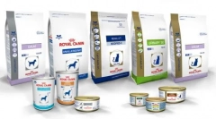 Kakšen krmi je boljši: proplan ali royal kanin?