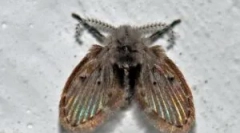 Kanalizatorji v kopalnici in stranišču