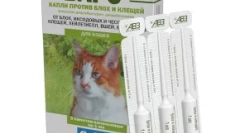 Kapljice na barih vihra - kompleksna zaščita mačke iz ektoparazitov