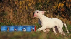 Kapljice prakse: navodila za uporabo