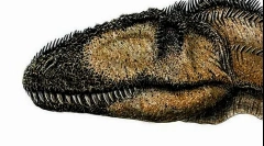 Carcharadontosaur
