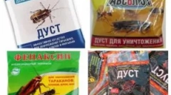 Kitajska orodja iz ščurkov