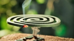 Komarje na vrtni ploskvi in na vrtu