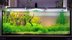 Kompresor za akvarij z lastnimi rokami: navodila za izdelavo koraka