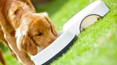 Purina pro načrt dog feed: premium class ready