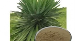 Feed wahre liebe - nemška kakovost v super premium in holistic