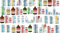 Pokrovi za mačke: priporočila za uporabo