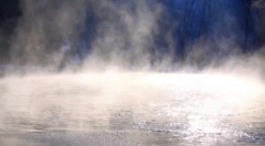 Visokotnost snovi v naravi