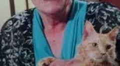 La perm: značilnosti kodrastih mačk