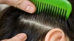 Zdravljenje pedikuloze doma