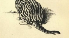 Obraz blagovne znamke whiskas in drugih zvezde cat oglasi