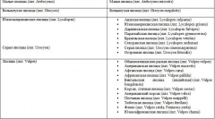 Fox - opis, vrste, kjer prebivajo