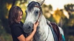 Konji za prosti čas