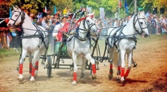 Počitnice v različnih državah