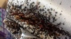 Preventivni ukrepi iz posteljnih mest v apartmaju