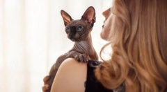 Srček ali nasoljen: kot videz mačke za določitev znaka