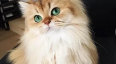 Stars stars instagram