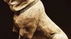 Molossa - kdo so: pregled pasme pasme