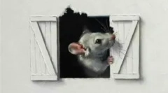 Miši v stenah lesene in poševne hiše