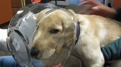 Najpogostejše nesreče