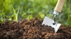 Škodljivcev insektov, ki živijo v tleh