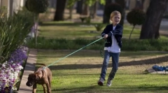 Vlečenje in povodec