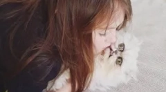 Nenavadna mačka wilfred