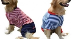 Pse oblačila na aliexpress - izbor do 1000 rubljev