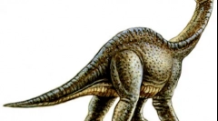 Odnosaurus