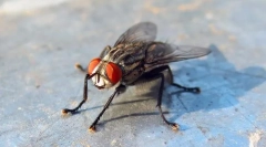 So spalnice nevarne?