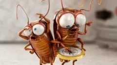 Opis in gradnja ščurkov