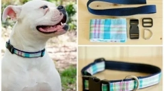 Psa ovratnik z lastnimi rokami: preprosta navodila