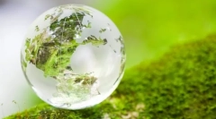 Osnovni koncepti ekosistema