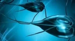 Glavni simptomi lambioze