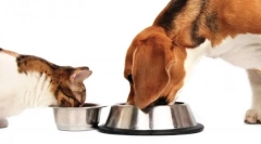 Značilnosti razredovega razreda holistic