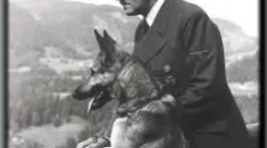 Daufman shepherd: kdo je