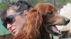 Oče iz oglaševanja chappi: kaj se je zgodilo z legendarnim psom