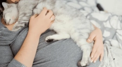 Zakaj mačka pade na človeka?