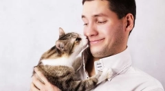 Zakaj mačke, kot je znoj?