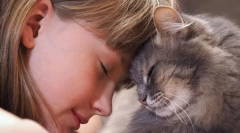 Zakaj se mačke motijo?