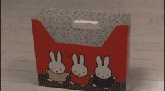 Zakaj mačke ljubijo škatle?