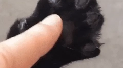 Zakaj claw claw povzroča?