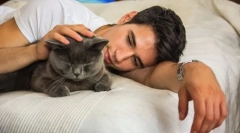 Zakaj mačke vedno zasedajo gostitelja