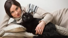 Zakaj osamljene ženske gojijo mačke